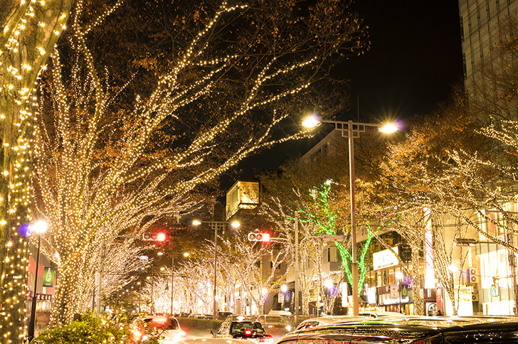 冬 12月 2月 東京観光をタクシーで楽しむためのポータルサイト Tokyodrive